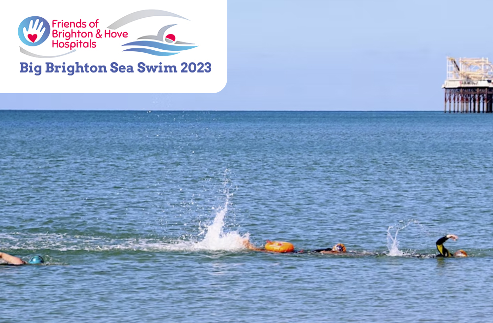 swim_wordpress